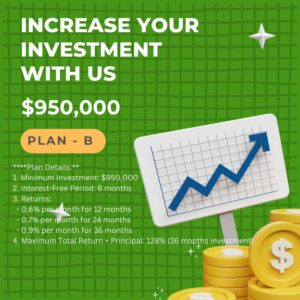 ### Plan B:
- **Suitable for Investors Seeking Moderate Returns**
**Plan Details:**
1. Minimum Investment: $2,000,000
2. Interest-Free Period: 6 months
3. Returns:
- 0.6% per month for 12 months
- 0.7% per month for 24 months
- 0.9% per month for 36 months
4. Maximum Total Return + Principal: 128% (36 months investment)