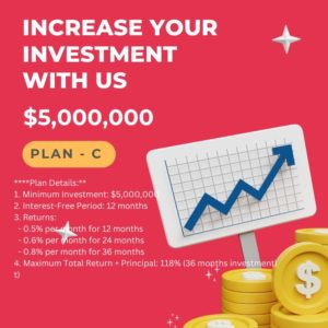 - **Designed for Long-Term Investors Looking for Stable Growth**
**Plan Details:**
1. Minimum Investment: $5,000,000
2. Interest-Free Period: 12 months
3. Returns:
- 0.5% per month for 12 months
- 0.6% per month for 24 months
- 0.8% per month for 36 months
4. Maximum Total Return + Principal: 118% (36 months investment)